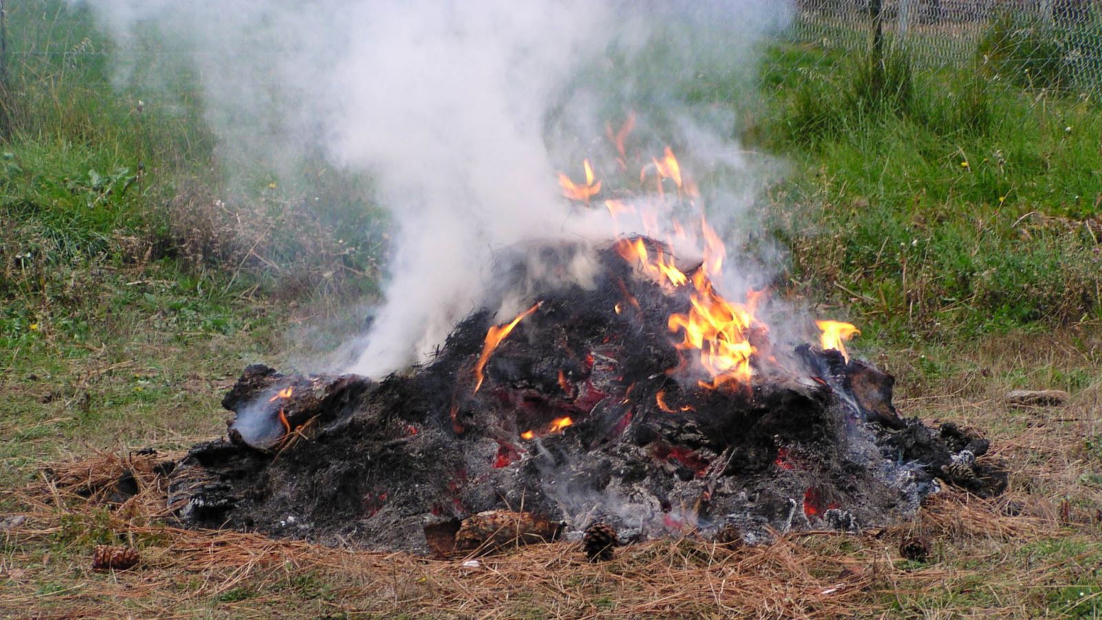 County Center No Open Burning Allowed in